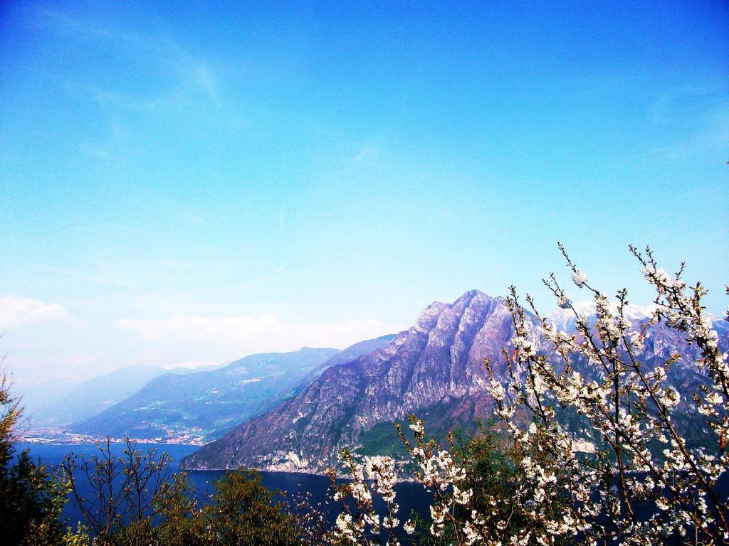 Hotel Poggio D'Oro Riva di Solto Bagian luar foto